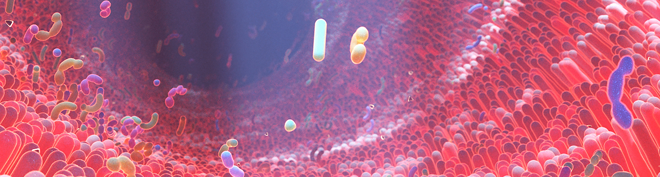 Feature Image for Chinchilla Diet and Microbiome